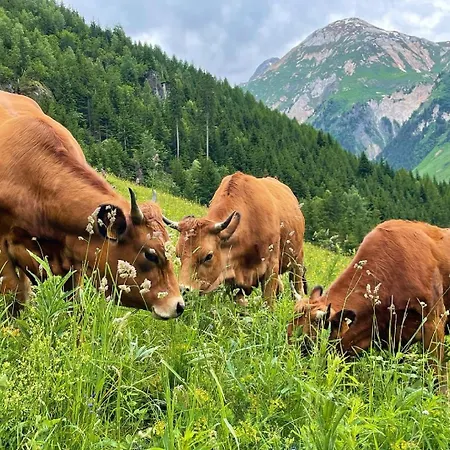 Chez Jean - 3 Pieces - Champagny-en-vanoise - Daire La Plagne